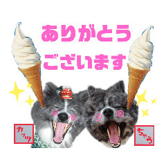 Lineスタンプ 秋田犬 カッツと茶羽 40種類 1円