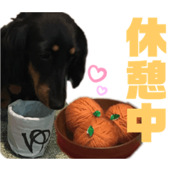 Lineスタンプ ダックスフント犬まろろno2 16種類 1円