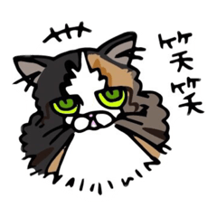 猫のシャネルのスタンプ Lineスタンプ Black Jack