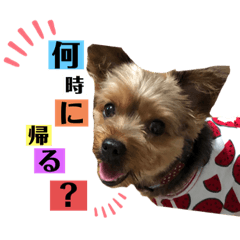 Lineスタンプ たぐち犬の可愛い子たち 24種類 1円