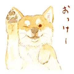 Lineスタンプ はちの柴イラスト 16種類 1円