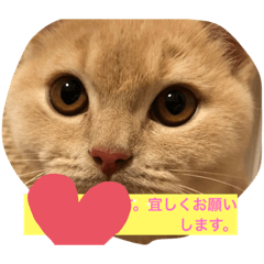 きな粉もち猫団子 Lineスタンプ Warabimochi Dango